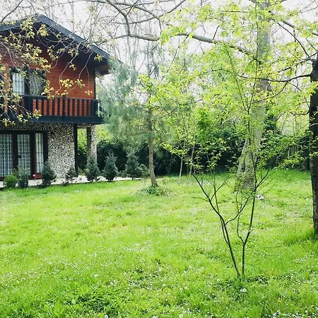 Villa Vi̇lla Bahce *